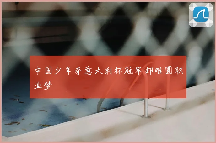 中国少年夺意大利杯冠军却难圆职业梦
