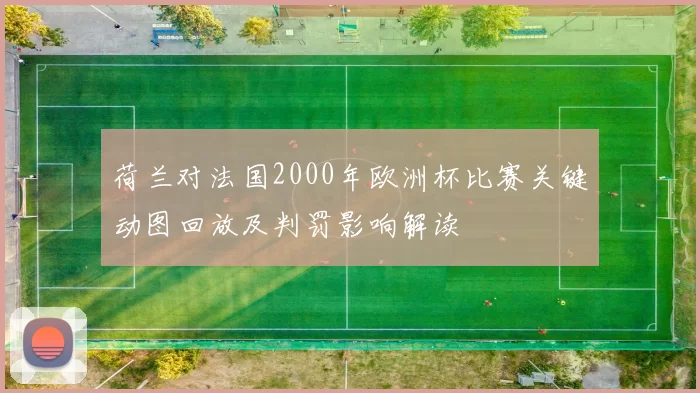 荷兰对法国2000年欧洲杯比赛关键动图回放及判罚影响解读
