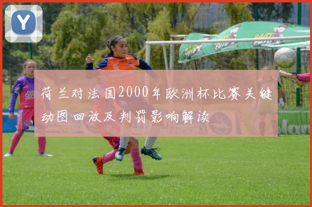 荷兰对法国2000年欧洲杯比赛关键动图回放及判罚影响解读